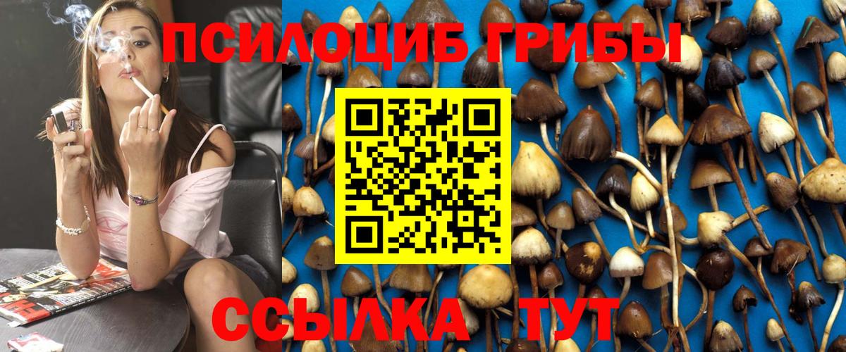 Фурманов  Галлюциногенные грибы GOLDEN TEACHER  Вход с VPN 