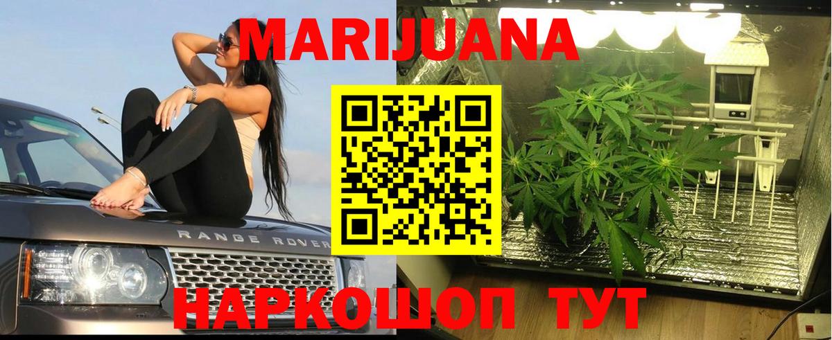 Канабис гибрид Фурманов